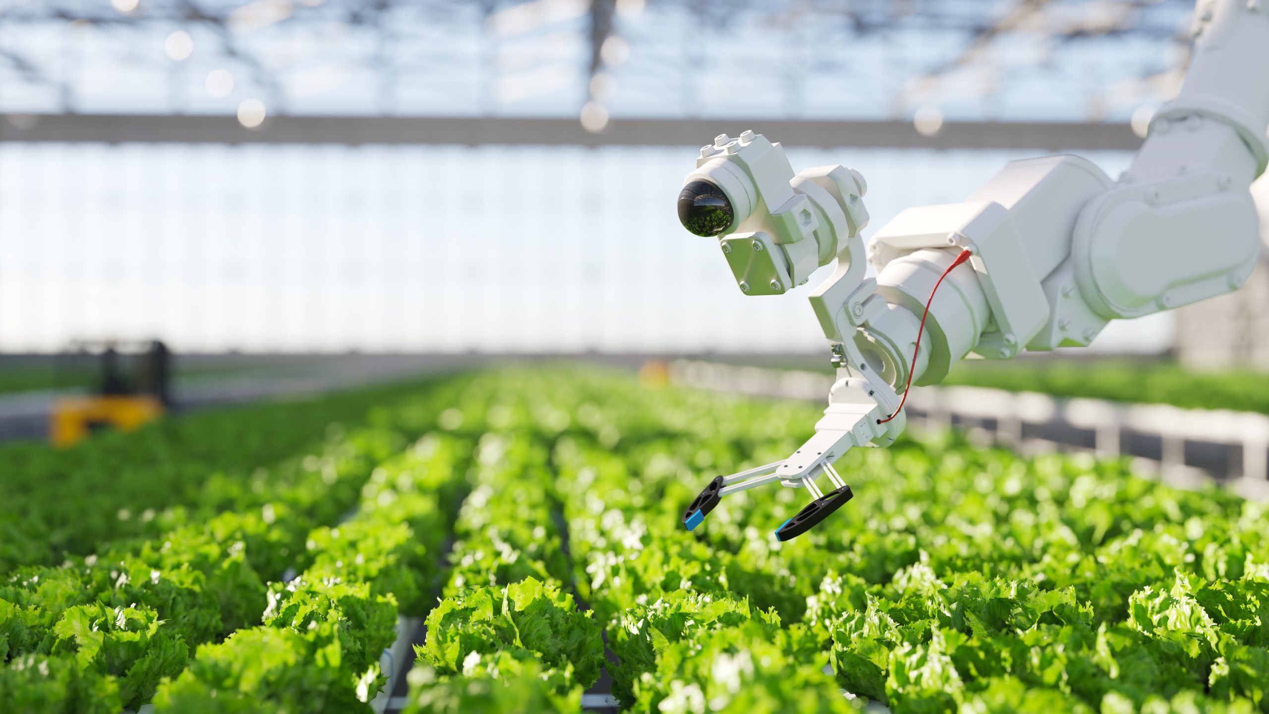 hydroponic-robot-farming-2