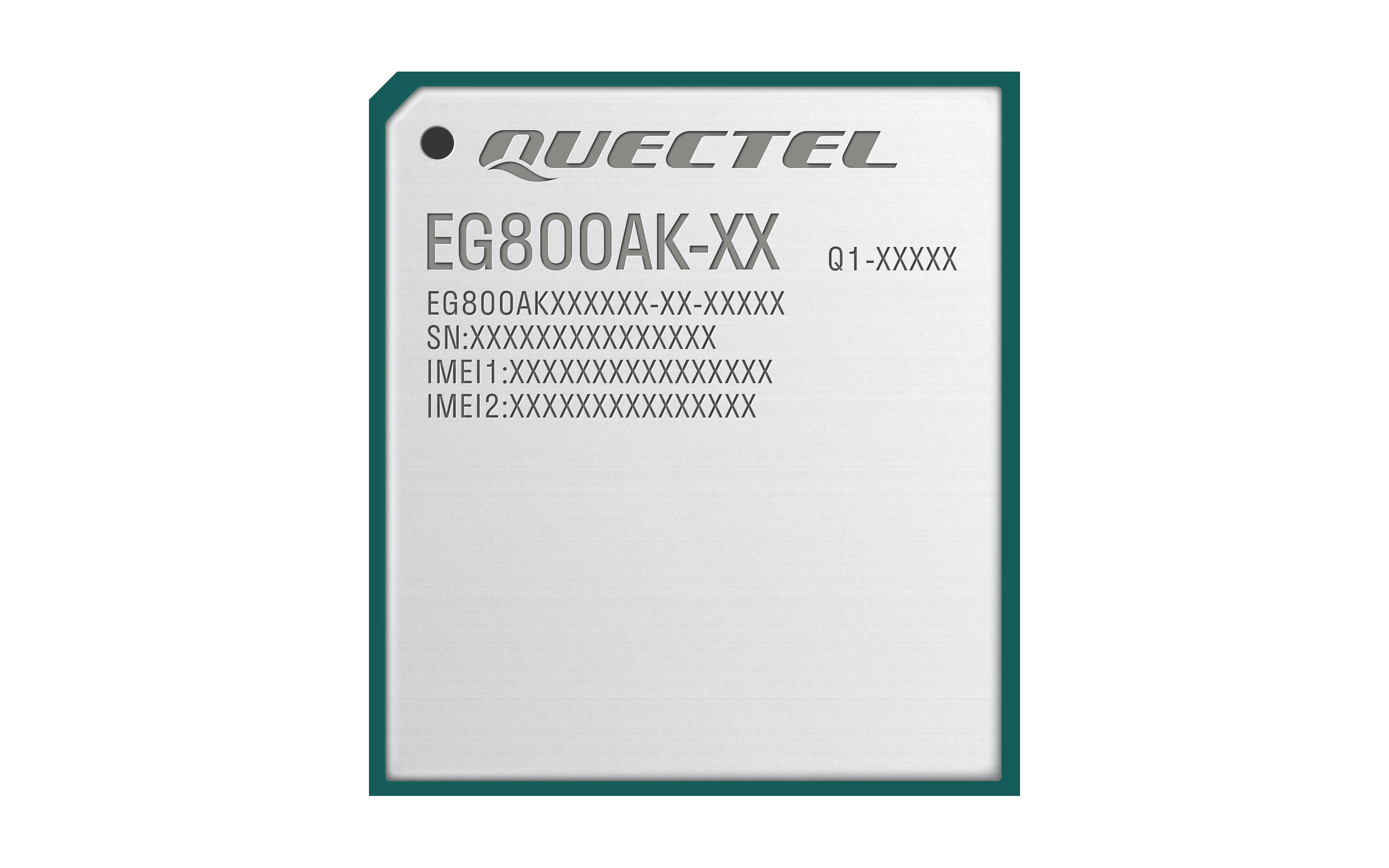 LTE Cat 1 bis EG800AK series