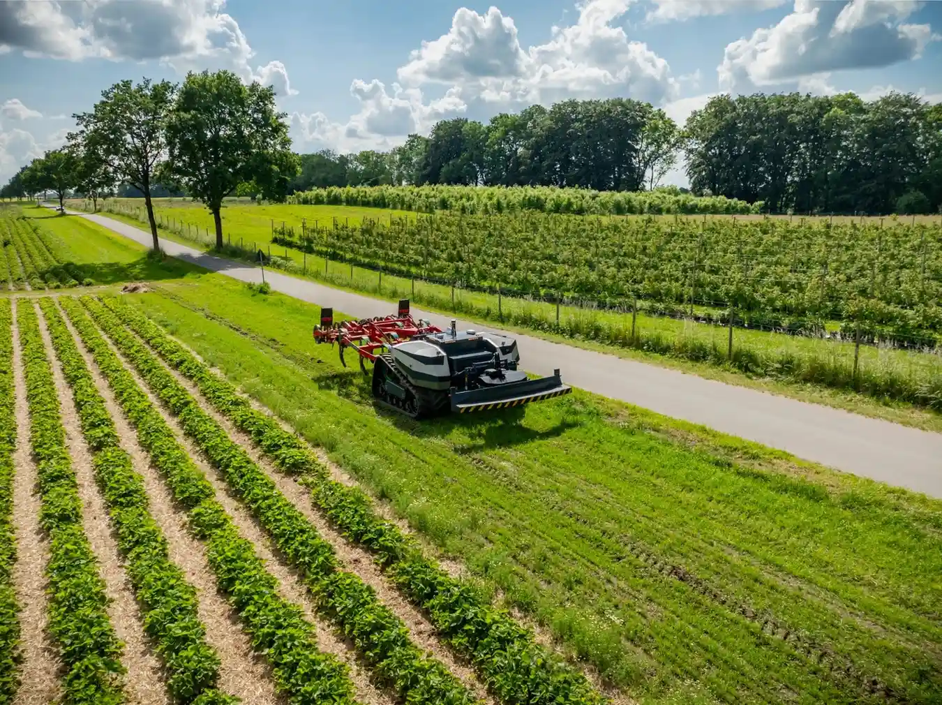 White paper sobre GNSS: Controle de Máquinas, Robótica e Agricultura de Precisão