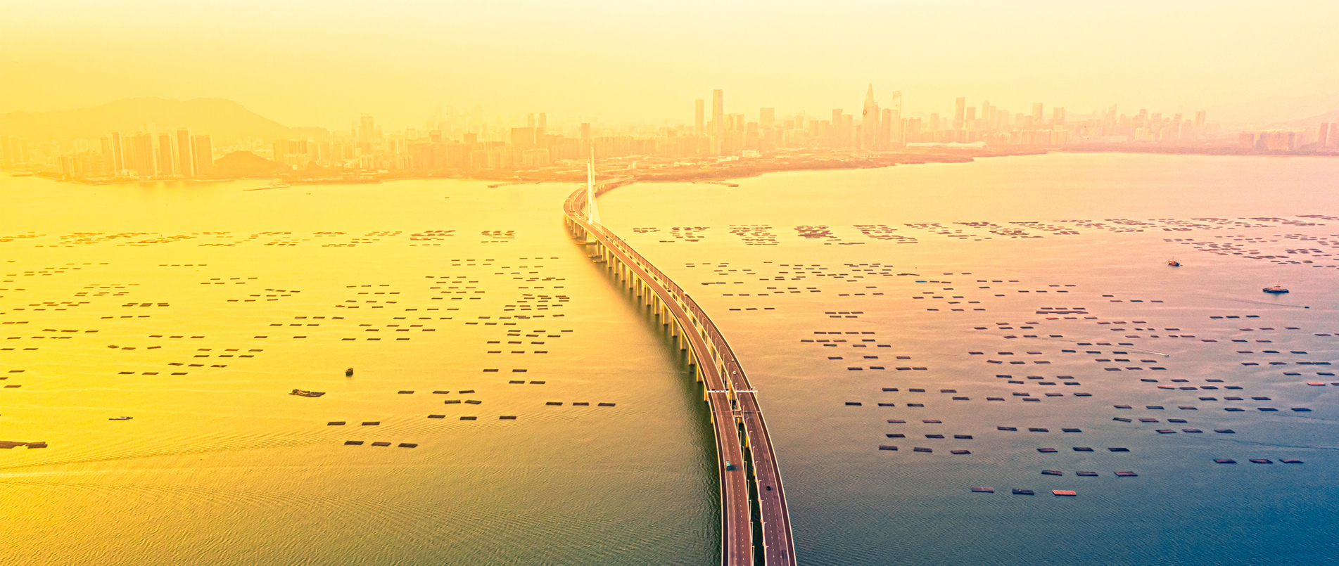 Connectivity - Shenzhen Bay Bridge