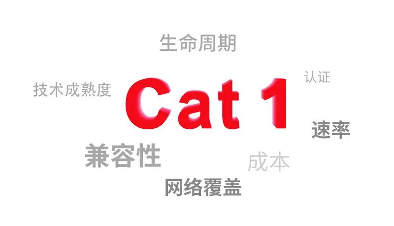 , Cat 1技术正当红